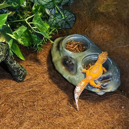 Tfwadmx Magnetic Reptile Feeder Ledge, Gecko Feeder Ledge with 4 Cups Reptile Feeding Bowl Terrarium Accessories for Geckos Lizards Chameleons Frog (White) - color: White