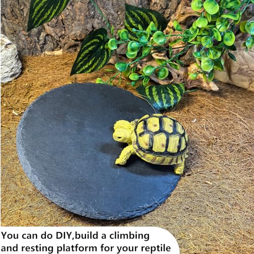 Reptile Basking Platform 2PCS 7.8IN Turtle Rock Slate Plate Feeding Plate Food Bowl Dish Tortoise Bathing Resting Terrace for Lizard Bearded Dragon Chameleon Gecko Snake Frog Newt - size: 7.8inch(2pcs)