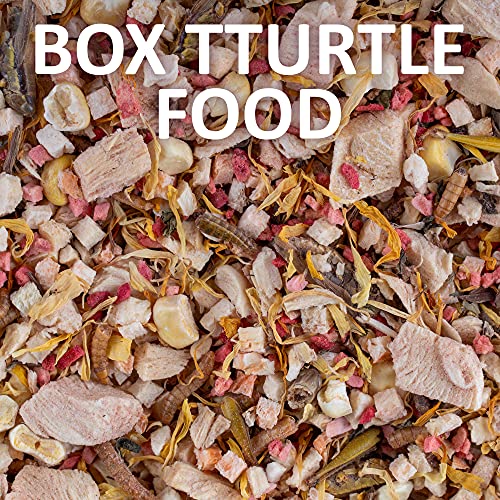 Healthy Herp Box Turtle Food Instant Meal for Reptiles - Nutritious Turtle Food, Tortoise Habitat Accessories - Made in USA - for Box Turtles, Lizards, Tortoises - Variety Pack (14 Cups & 1 Dish) - size: 2.65 Ounce (Pack of 1), style: 14-Pack Cups