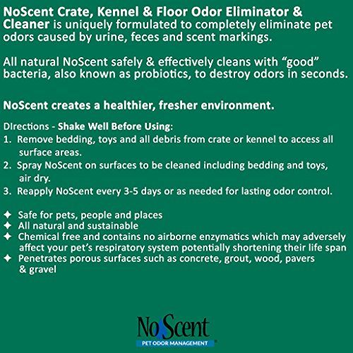 No Scent Crate Kennel & Floor Cleaner for Dog Run, Cat Carrier, Hard Surface Pet Odor & Stain Management (32 Fl Oz / 946 mL) - size: 32 Fl Oz (Pack of 1)