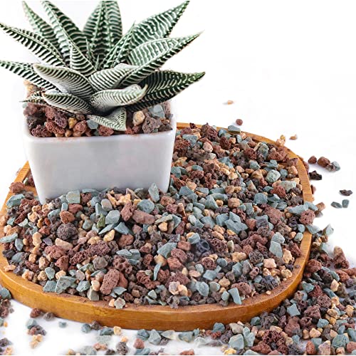 2.4lb Mix Horticultural Lava Rock Pebbles Pumice Potting Soil Amendment Succulent Cactus Bonsai Gritty Rock Decorative Gravel Plant Drainage Volcanic Rock for Aquarium Fairy Gardening Top Dressing - color: Mix Pebbles, size: 2.4LB