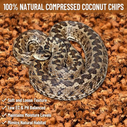 Riare 10LB Coconut Husk Chip for Reptiles, 72 Quart Coconut Fiber Substrate | Coco Chips Substrate Coconut Husk Bedding for Snakes, Tortoises, Ball Python, Bearded Dragon, Geckos, Lizards, Frogs - color: 1 Pack-10LB