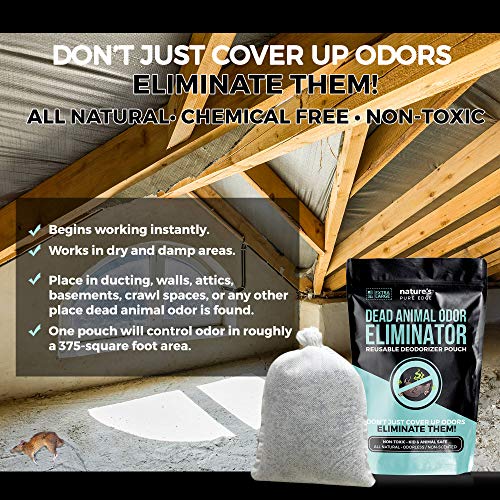 Dead Animal Smell Eliminator Pouch – Fragrance-Free Activated Charcoal Odor Absorber With Specialized Zeolite– Attics, Walls, Crawlspaces. For After Cleanup. Pet & Kid Safe, XL, Covers 375 Sq Ft