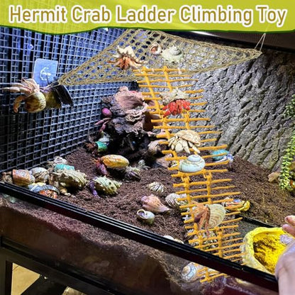 Hermit Crab Ladder Climbing Toy|Hermit Crab Decoration Tank Accessories，Reptile Habitat Decor with Climbing Hammock Toys for Leopard Gecko，Lizards, Tarantulas