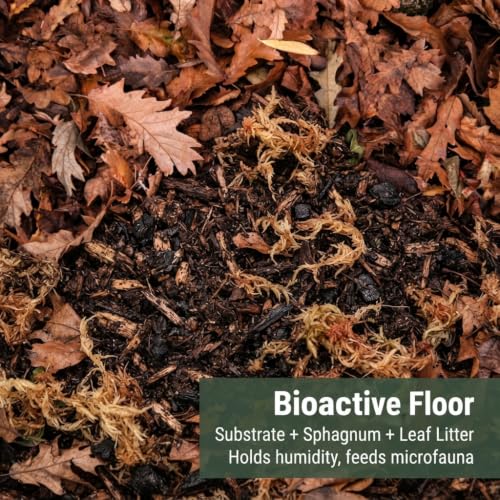 Giant Canyon Isopods 10 Count Colony Kit - 3qt Isopod Substrate + 4qt Leaf Litter + 2qt Sphagnum + Charcoal Iso-Chunk Hide + 3oz Calcium + 8oz Isopod Feed + 8oz Arid Springtails