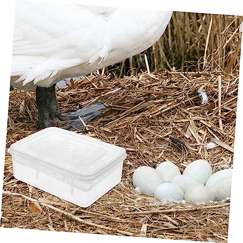 Compartment Reptile Egg Incubation Box Durable Plastic Breeding Tray with Temperature Gauge for Lizard Snake and Turtle Hatchery Management