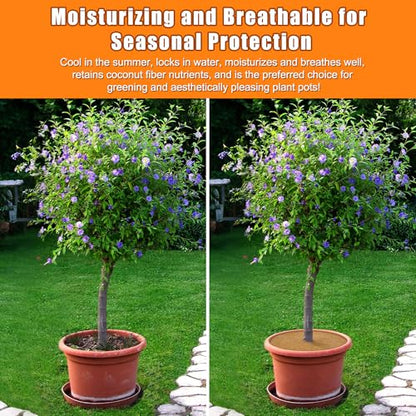 10 Inch Coconut Fiber Mulch Ring, 3 Pcs Tree Protector Mats, Coco Coir Mulch Mat Tree Guards, Plants Disc Soil Cover for Landscaping and Indoor Outdoor Gardening Pot - size: 10in-3pcs