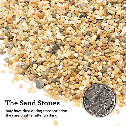 5 lb Coarse Sand Stone - Succulents and Cactus Bonsai DIY Projects Rocks, Decorative Gravel for Plants and Vases Fillers，Terrarium, Fairy Gardening, Natural Stone Top Dressing for Potted Plants. - size: 5 LB