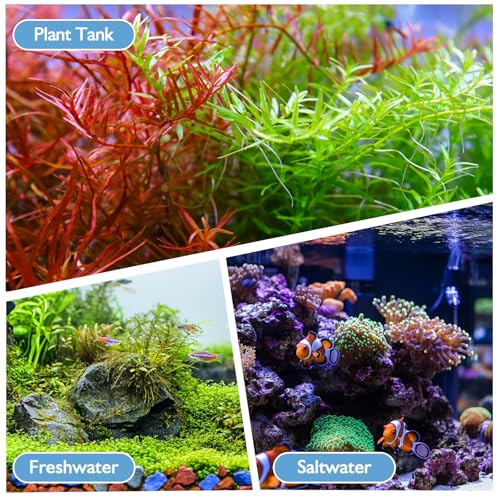 AQQA Aquarium Filter, 3W, 5-10 Gallon Tank | 79GPH Internal, Dual Water Outlet & Aeration, Crystal Clear Water, Submersible Pump & Filter System