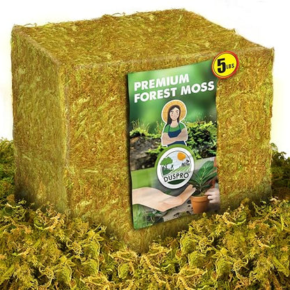 5 LBS Real Dried Forest Moss for Potted Plants, Plant Propagation | Hand-Picked & Clean, Easy to Rehydrate, Balanced Moisture, Forest Orchid Moss for Potting Mix,Moss Soil Cover for Houseplants - size: 5 Lbs