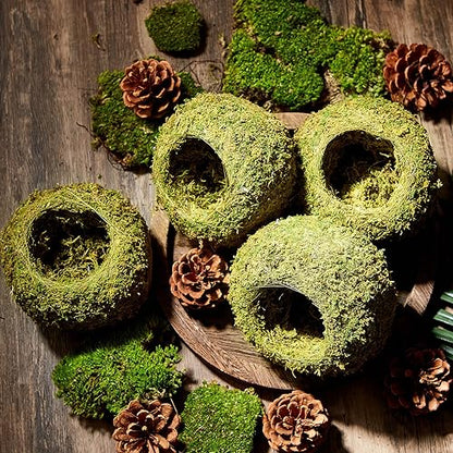 Tinideya 4 Pack Crested Gecko Hide, Reptile Hide, 4 Inch Artificial Moss Cave Hideouts for Pet Reptile Frogs Snakes Turtle Spider Lizard Chameleon, Green Terrarium Tank Decoration