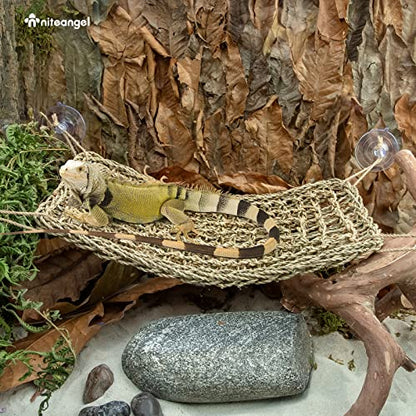 Niteangel Bearded Dragon Seagrass Hammock: Rectangle 16"x 8" & Suction Cups | Add More Climbing Space & Entertainment - Reptile Lounger for Chameleon Lizards Gecko Snakes Lguana Reptiles Tortoises - size: Rectangle 16'' x 8''