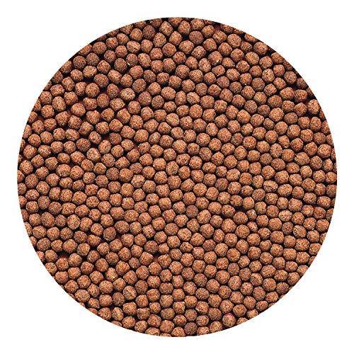 Hikari 8.8-Ounce Cichlid Gold Floating Pellets for Pets, Mini - color: Black, size: 8.8 Ounce (Pack of 1)