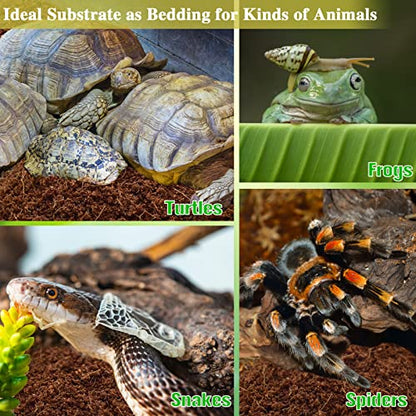2 Pack Coconut Fiber Substrate, Premium Coco Coir Reptile Substrate | 100% Coconut Husk Terrarium Bedding for Reptiles, Tortoise, Bearded Dragon, Gecko, Snake, Hermit Crabs, Frogs, Tarantula - color: 2pcs