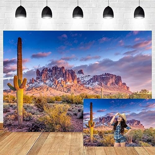 Leyiyi 5x4ft Arazona Mountain Cactus Photography Background Desert Sunset Summit Western American Travel Hiking Desert Flora Cloud Desolate Cowboy Polyester Backdrop Terrarium Background - color: Desert1, size: 5x4ft-P
