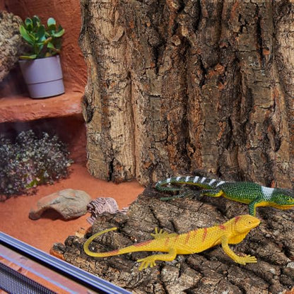 DOITOOL 4 Pcs Cork Bark for Reptiles, 5.9”x5.9” Natural Wood Terrarium Background Decor, Lizard Tank Accessories Climbing Mat Setup for Bearded Dragon Gecko Snake Frog