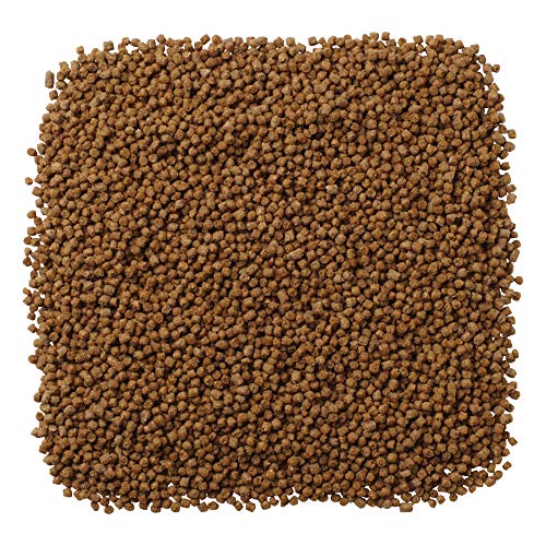 Mazuri | Nutritionally Complete Hedgehog Food | 8 Ounce (8 oz) Bag - size: 8 Ounce (Pack of 1)