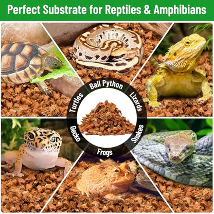 Riare 4Pack Coconut Husk Chip for Reptiles, 4.4LB Coconut Fiber Substrate | Coco Chips Substrate Coconut Husk Bedding for Snakes, Tortoises, Ball Python, Bearded Dragon, Geckos, Lizards, Frogs - color: 4 pack