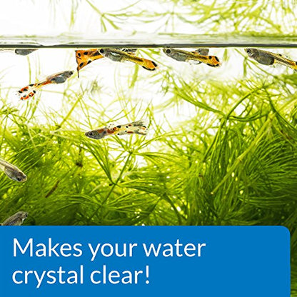API ACCU-CLEAR Freshwater Aquarium Water Clarifier 8-Ounce Bottle - size: 8-Ounce