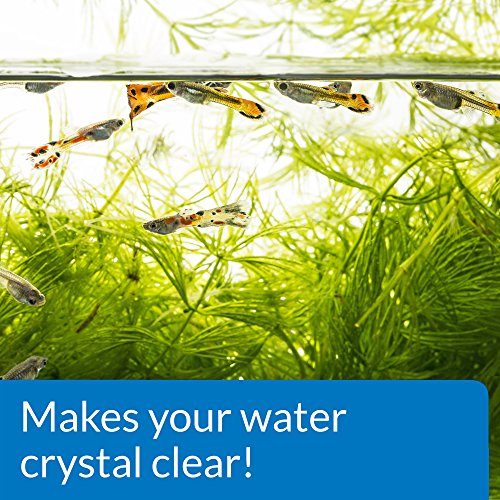 API ACCU-CLEAR Freshwater Aquarium Water Clarifier 1.25-Ounce Bottle (111A) - size: 1.25-Ounce