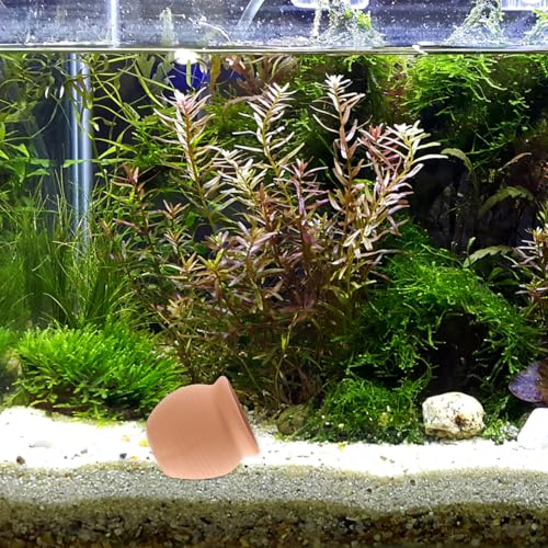 POPETPOP Fish Tank Decorations 2-Pack Realistic Clay Aquarium Hideaway Ornaments for Fresh and Saltwater Tanks 3.14 Inch Stable Aquarium Landscaping Ornaments