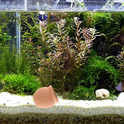 POPETPOP Fish Tank Decorations 2-Pack Realistic Clay Aquarium Hideaway Ornaments for Fresh and Saltwater Tanks 3.14 Inch Stable Aquarium Landscaping Ornaments