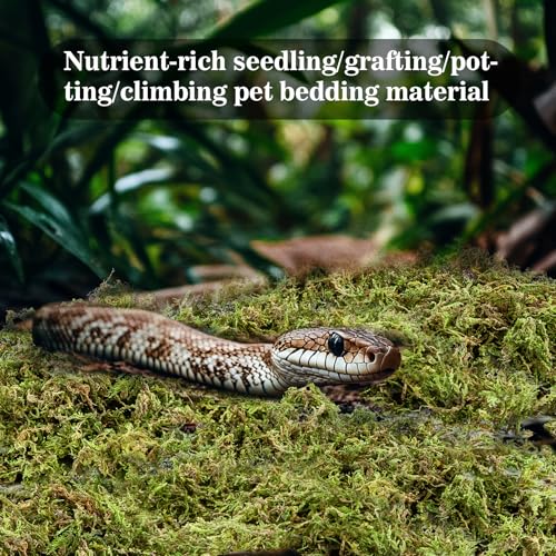 Sukh Sphagnum Moss for Reptiles - Terrarium Reptile Moss Substrate, 15.8 OZ | Habitat Bedding for Snake, Gecko, Turtle, Frog, Bearded Dragon, Jumping Spider, Chameleon, Enclosure & Tank Accessories Decor - size: 15.8 Ounces