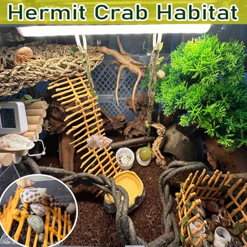 Hermit Crab Ladder Climbing Toy|Hermit Crab Decoration Tank Accessories，Reptile Habitat Decor with Climbing Hammock Toys for Leopard Gecko，Lizards, Tarantulas