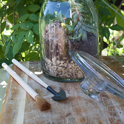 Terrarium Tool Kit 4 Piece