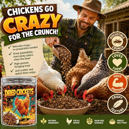 Natural Dried Crickets, Food for Bearded Dragons, Wild Birds, Chicken, Fish, Reptiles & Small Pets (4 oz Resealable Can), High Protein Natural Pet Treats