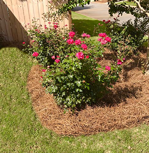 Long Needle Pine Straw Mulch - 100 Sqft Coverage 1 Set - Premium USA Harvested PineStraw for Landscaping, Weed Control, Moisture Retention & Erosion Control - USA Pinestraw - size: Pine Needle Mulch - Covers 100 Sqft 1 set