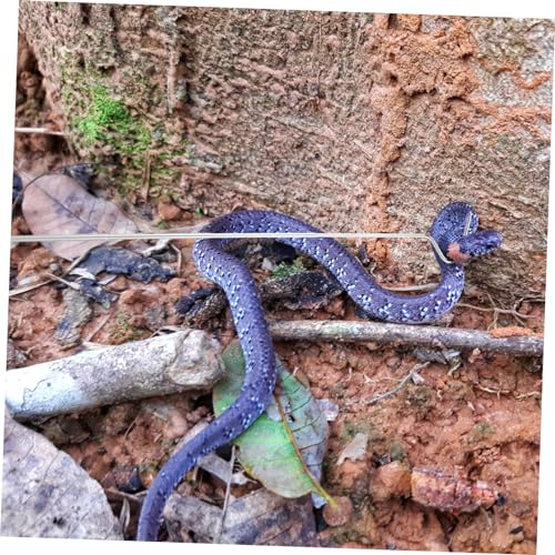LIOOBO Snake Catching Hook Sturdy Reptile Accessory Snake Grabber Tool Extension