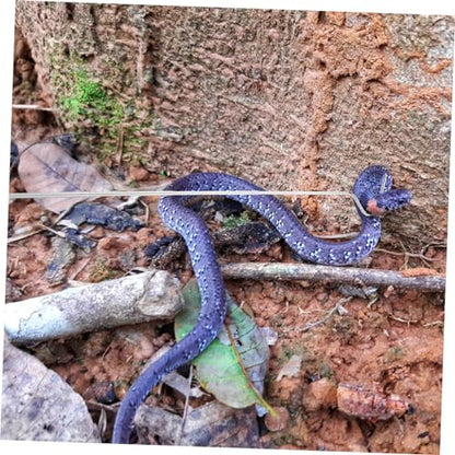 LIOOBO Snake Catching Hook Sturdy Reptile Accessory Snake Grabber Tool Extension