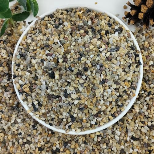 5lbs Aquarium Gravel, 1/8"(2-4mm) Natural River Rocks | Succulent Cactus Pea Gravel for Plants, Fish Tank, Decorative Pebbles for Gardening, Flower Pots, Vase Fillers, Landscaping - size: 1/8 Inch