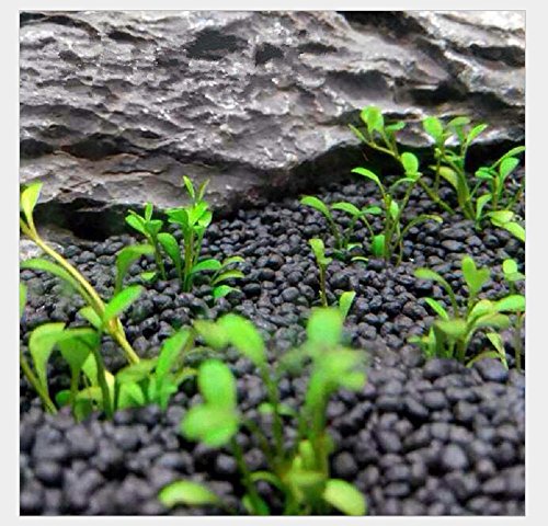 Hewnda 2 LB to Complete Freshwater Planted Aquarium Substrate | Aquatic plant cultivation medium