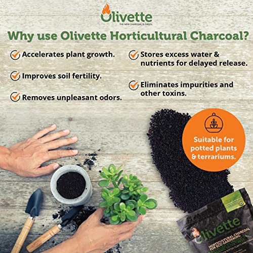 OLIVETTE Organic Biochar Activated Charcoal for Plants, 3 Bags | USDA Horticultural Charcoal, Moisture Control For Terrariums & Potted Plants, Biochar Soil Additive For Gardening - size: 3 Bags