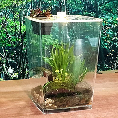 Acrylic Clear Reptile Terrarium Enclosure Cage, Reptile Breeding Box Lizard Spider Tank Climbing Pet Box with LED Light