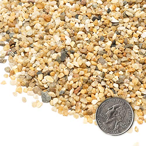 Coarse Sand Stone - Succulents and Cactus Bonsai DIY Projects Rocks, Decorative Gravel for Plants and Vases Fillers，Terrarium, Fairy Gardening, Natural Stone Top Dressing for Potted Plants. - size: 2 LB