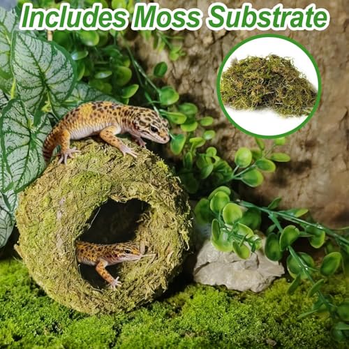 4pcs Crested Gecko Hide,Reptile Mossy Caves Hideout,Leopard Gecko Humid Hide,Natural Moss Cave Hiding Decor Tank Accessories for Reptiles, Amphibians,Invertebrates,Lizard,Frog