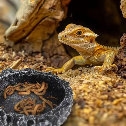 Reptile Water Dish Food Bowl Bearded Dragon Bowls, 2 Pack Reptile Food Bowl for Hermit Crab Bearded Dragon Lizard Gecko Frog Tortoise (Black, S) - color: black