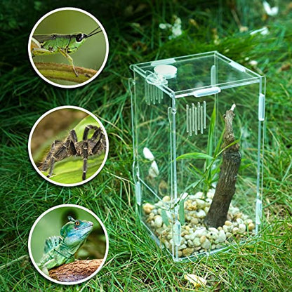 BETAZOOER Small Acrylic Reptile Tank Habitat Locking Terrarium 4''x4''x8'' - size: Small