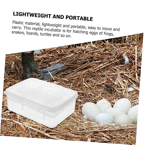 BESPORTBLE Egg Incubator Box for Reptiles 16 Holes Clear Lid Leakproof Made of Durable Plastic for Gecko Turtle and Lizard Eggs