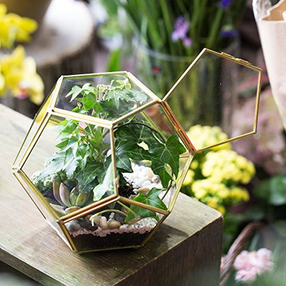 NCYP Glass Geometric Terrarium Planter with Door and Foot, Pentagon Ball Shape Glass Terrarium for Fern, Succulents, Small Plants, Gold, 6.8 x 6.8 x 5.9 inches (No Plants)