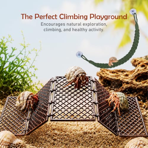Hermit Crab Cave Habitat Bundle 3-in-1 Climbing & Hiding Set, Cave with Viewing Window + DIY Mesh Ladder & Platform + Suction Cup Rope Ladder Tank Accessories, Reptile Habitat Décor