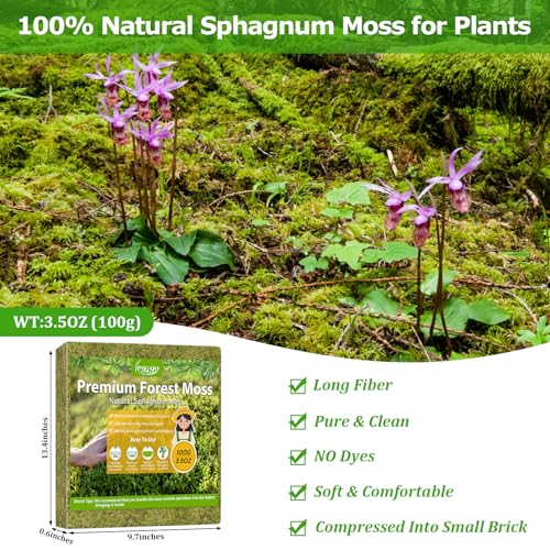 4QT Sphagnum Moss for Plants, 3.5OZ Natural Long Fiber Orchid Moss | Drainage & Moisture Retention, Green Plant Moss for Orchid Repotting, Carnivorous, Succulents, Reptile Bedding & Terrariums - size: 3.5OZ