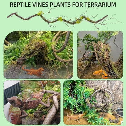 BNOSDM Reptile Vines,Bendable Jungle Climbing Vine,Terrarium Plants Artificial Decor,Tank Decorations Accessories for Bearded Dragons Chameleons Snakes Lizards Hermit Crabs - size: 3Pcs | Style: 47in Jungle Vine