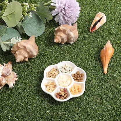 Hermit Crab Food Dish, 2 Pcs Mini Ceramic Hermit Crab Feeding Dish Tiny Reptile Water Bowl with 7 Compartments for Snail, Gecko, Lizard, Aquarium Accessory