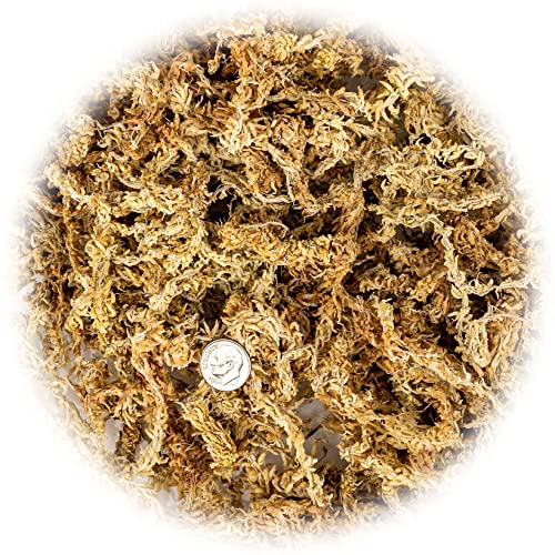 Premium New Zealand Sphagnum Moss by Gardenera - Organic Hand Mixed Long Fibered Sphagnum Moss Orchid - 1 Quart