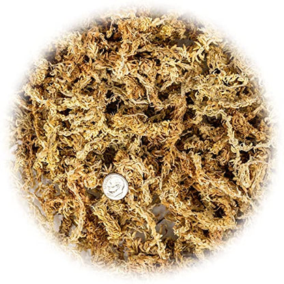 Premium New Zealand Sphagnum Moss by Gardenera - Organic Hand Mixed Long Fibered Sphagnum Moss Orchid - 1 Quart