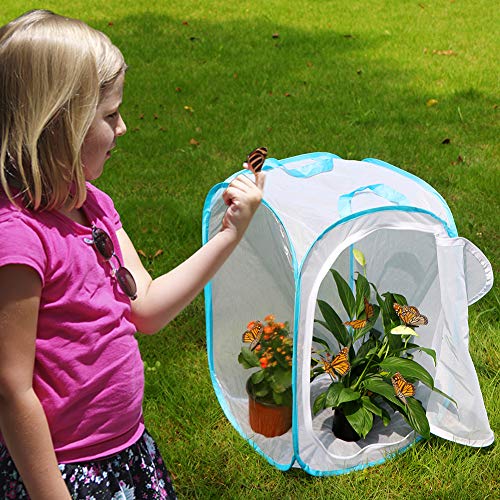 RESTCLOUD Insect and Butterfly Habitat Cage Pop-up 24 Inches Tall | Mesh Enclosure Terrarium,Tight Mesh - color: White With Blue, size: 15.7 x 15.7 x 23.6 inches